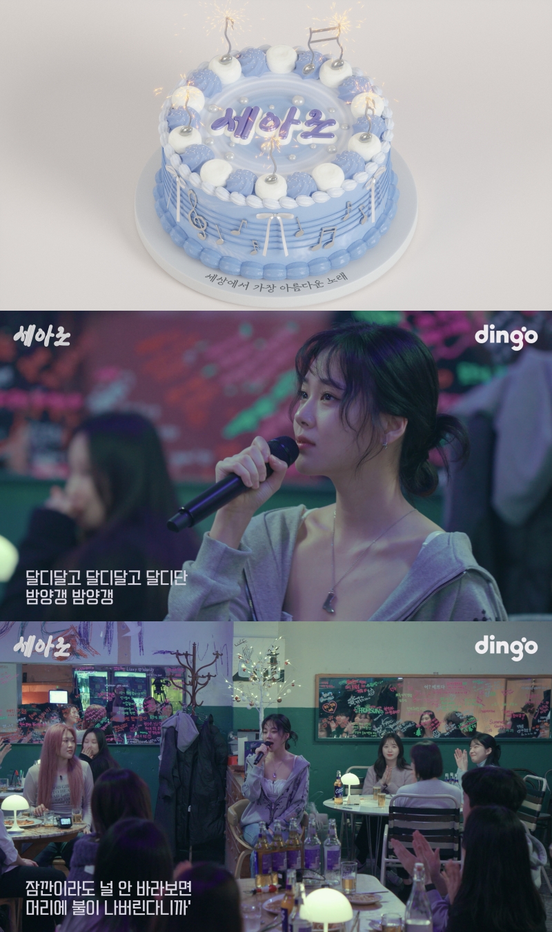 ▲ 비비. 제공| 딩고