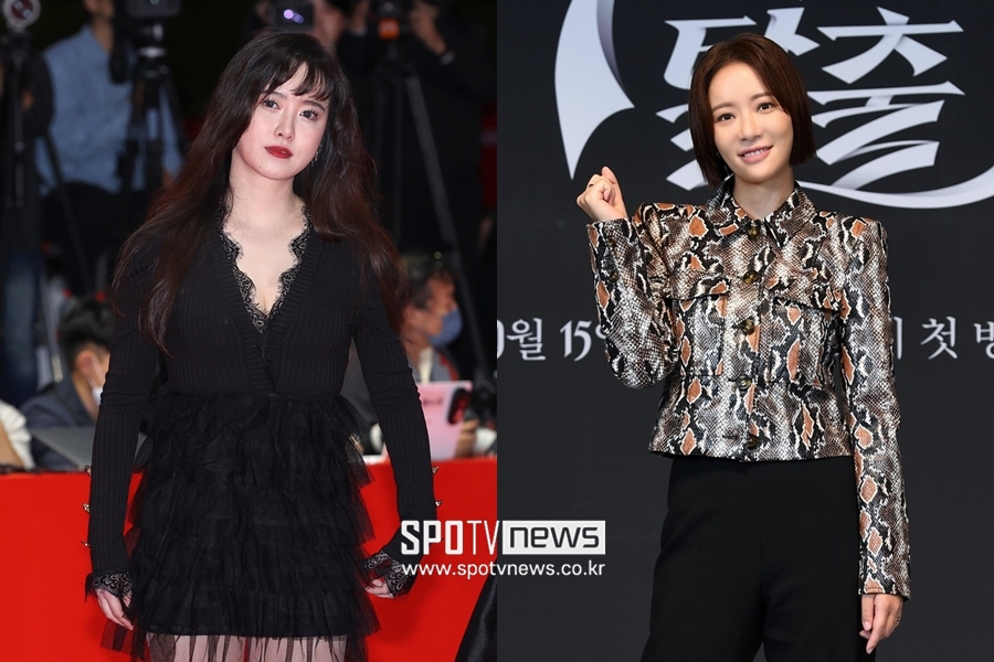 구혜선→황정음, 이혼 발표도 '저격의 시대'[이슈S]