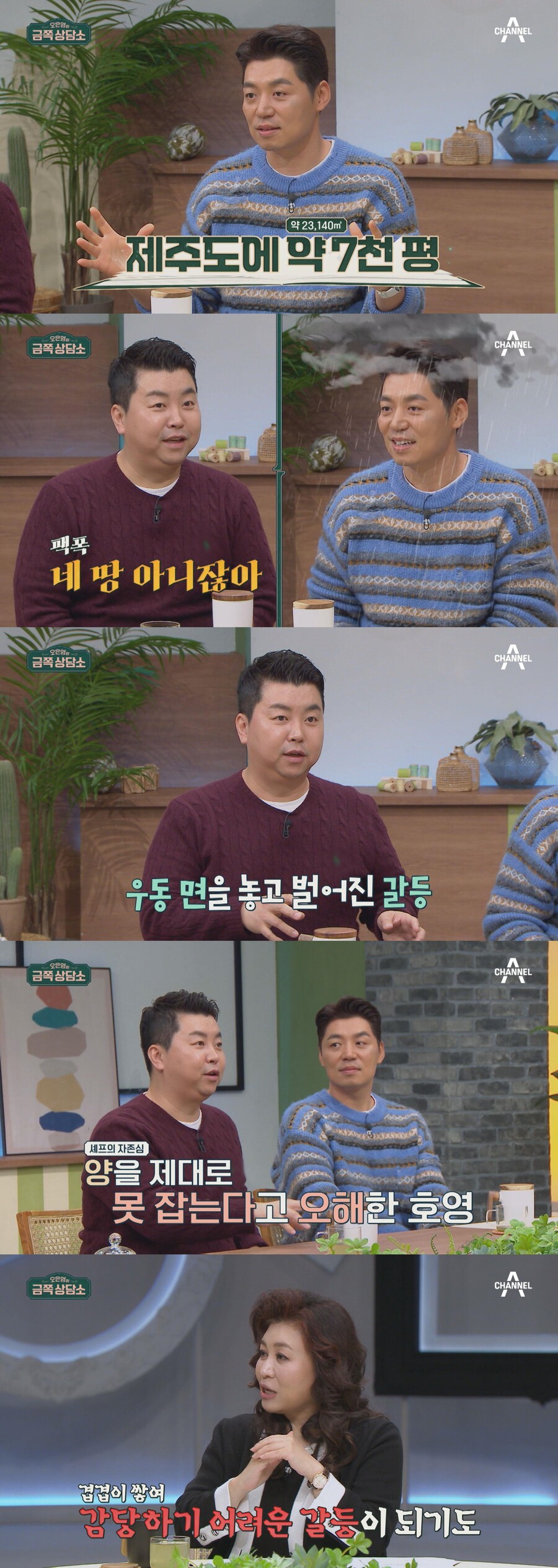 정호영 "아이유→정우성·이정재도 방문한 가게…♥아내와 3년째 주말부부"('금쪽')