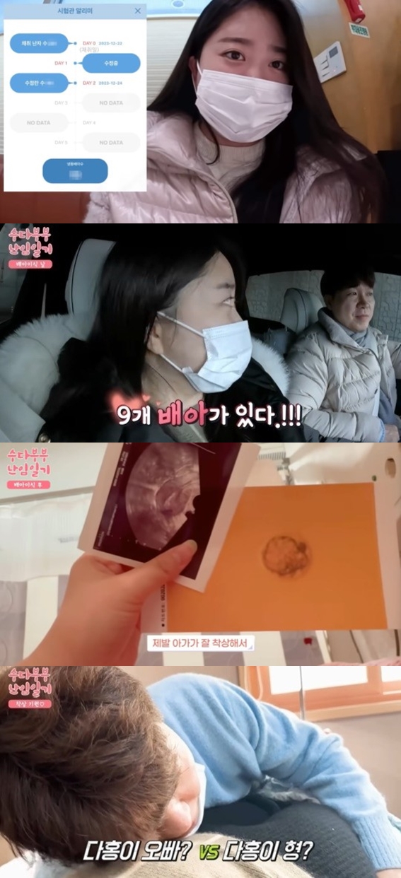 김다예, 배아이식 성공→♥박수홍 "딸이었으면..10달만 자고 나와라" 간절