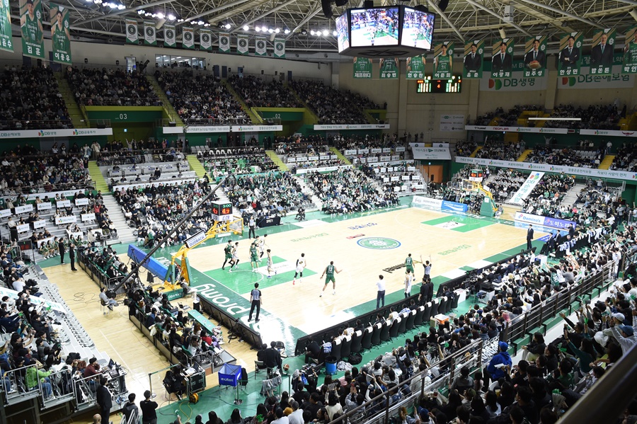 봄 농구가 온다…프로농구 PO 경기 시간 확정