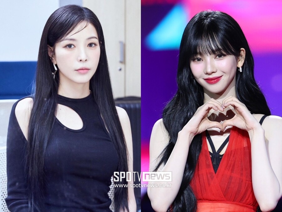 오죽하면 은퇴까지…이혼 강요→외모 비하, 선 넘은 '인생 낭비'[이슈S]
