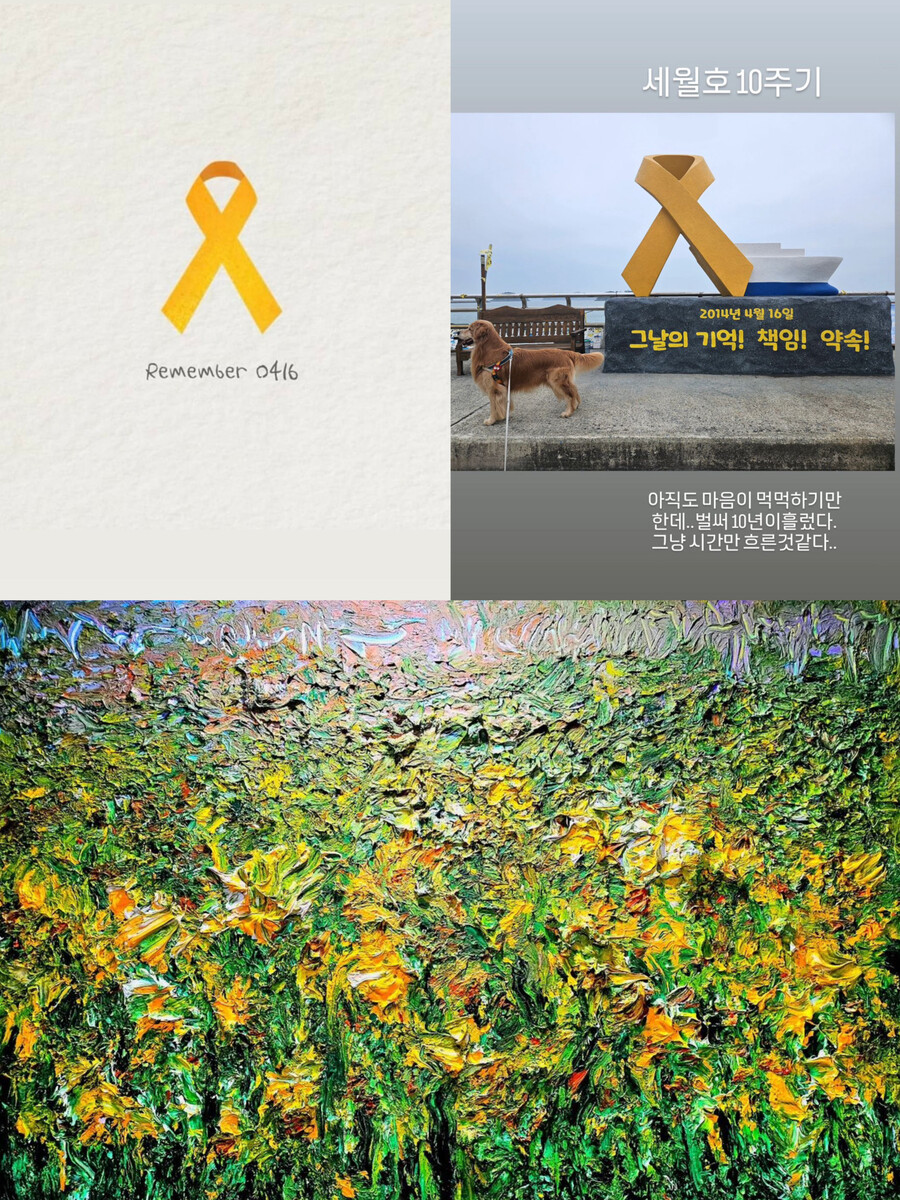 ▲ 출처| 박보영 , 문정희, 솔비 SNS(왼쪽 위부터 시계방향)