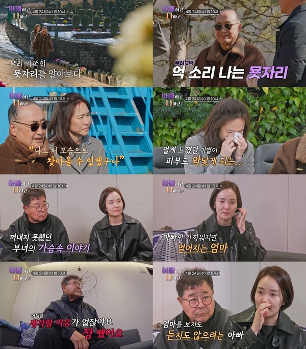 '졸혼' 백일섭 "아내와 정 뗐다, 소식 안듣는게 편하다"(아빠하고 나하고)