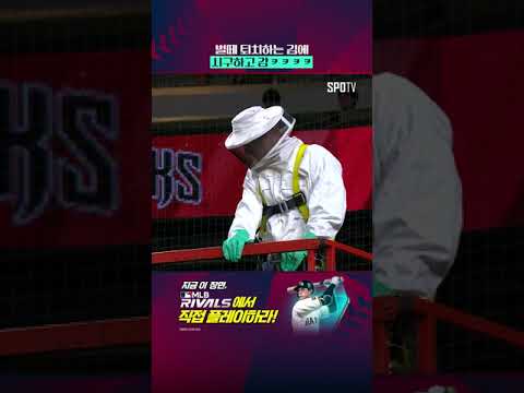 'Bee Delay' 결말 #Shorts