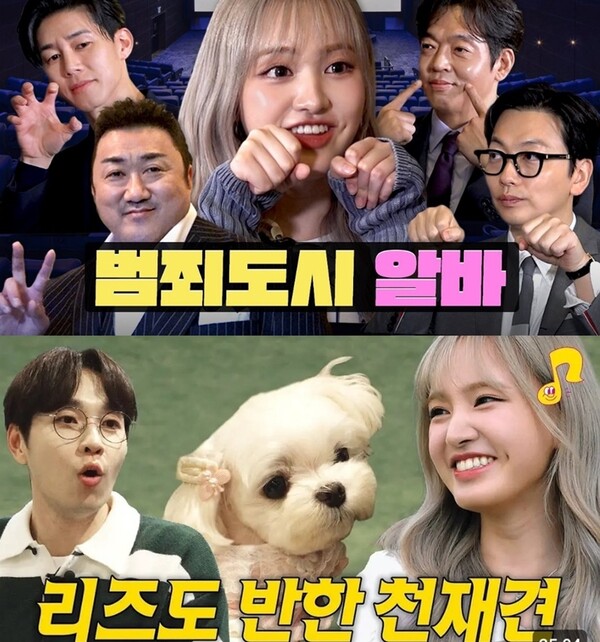▲ 아이브 리즈가 출연한 유튜브 웹예능 프로그램 '썰플리'와 '워크돌' 섬네일. 영상캡처