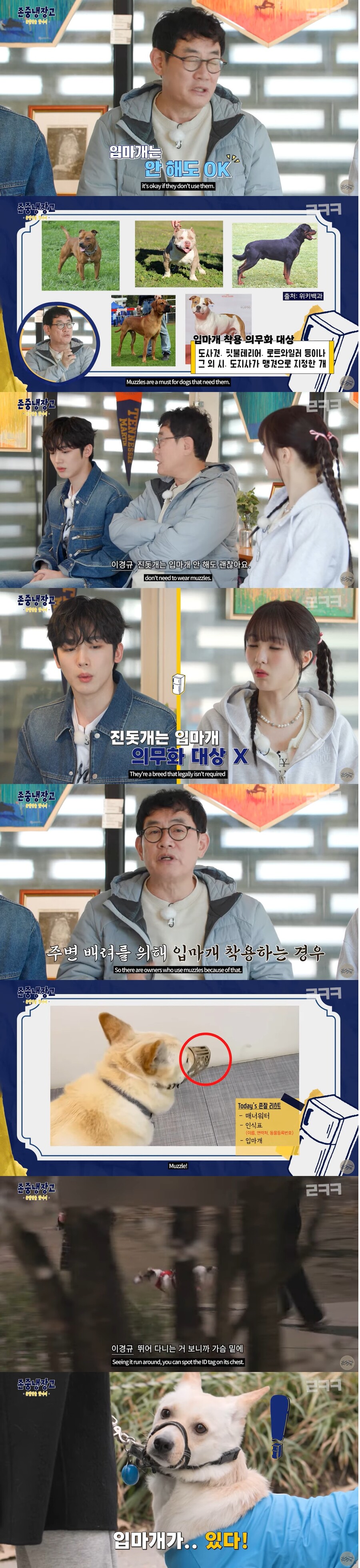 ▲ 르크크 이경규. 출처ㅣ유튜브 캡처