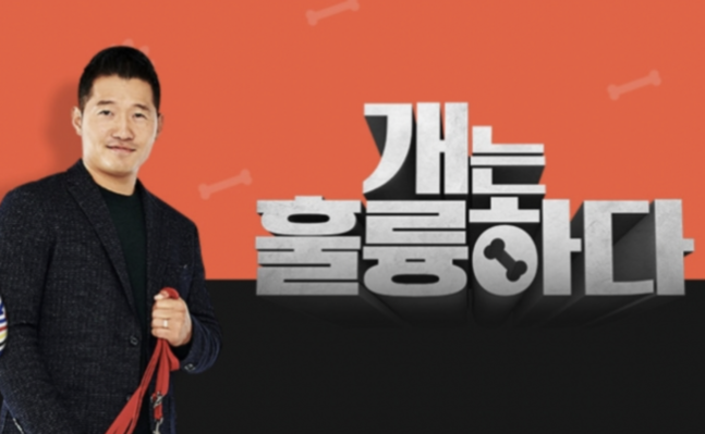 '개훌륭', 강형욱 진실공방에 사실상 무기한 결방…"우리도 답답해"[종합]