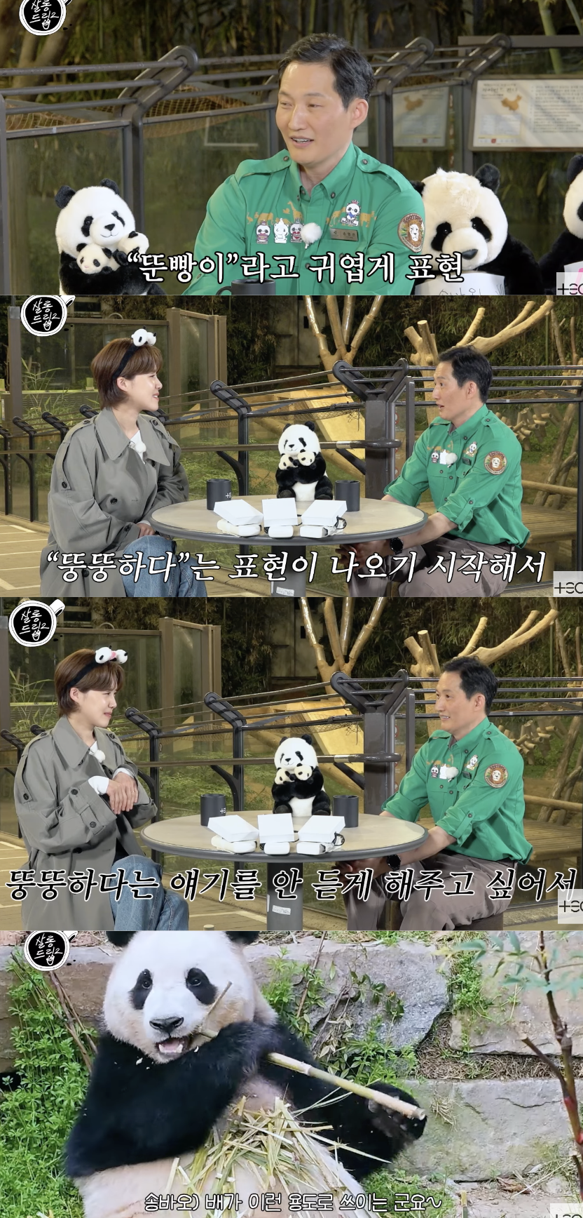 '푸바오♥' 송바오 "'뚠빵', 뚱뚱하단 말 듣게 하고 싶지 않아 만든 신조어"('살롱드립')