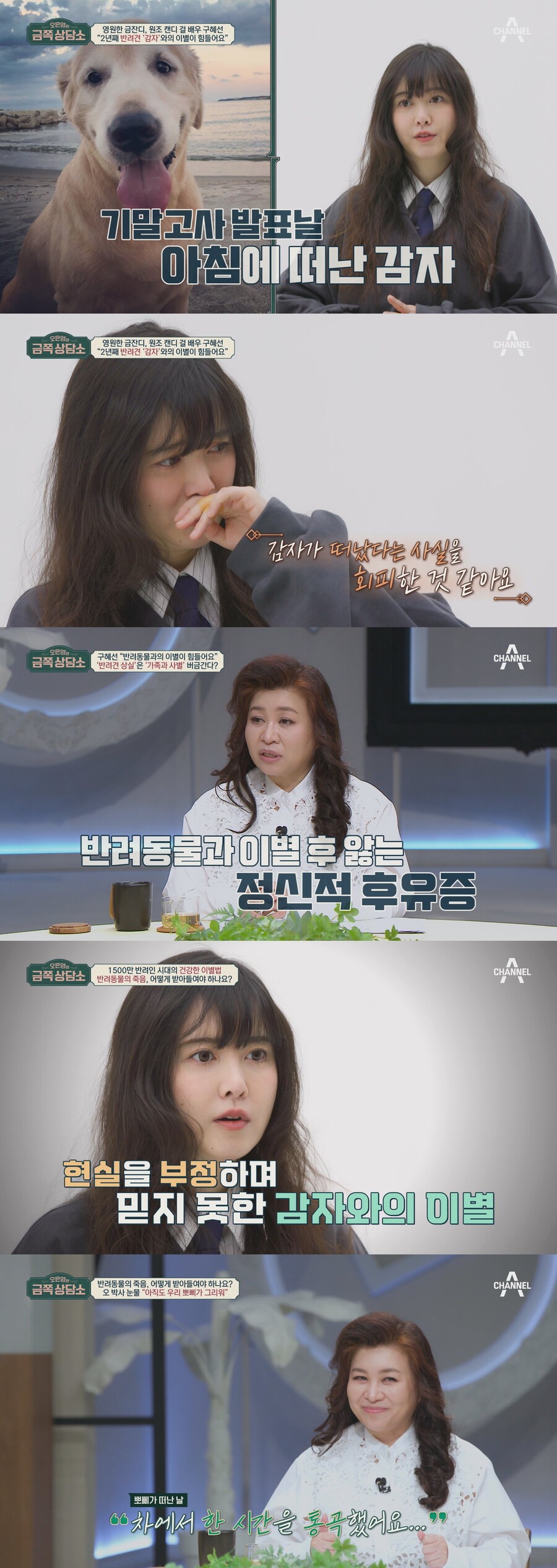 구혜선 "4년간 반려견 6마리 떠나보내…받아들이기 어려워"('금쪽상담소')