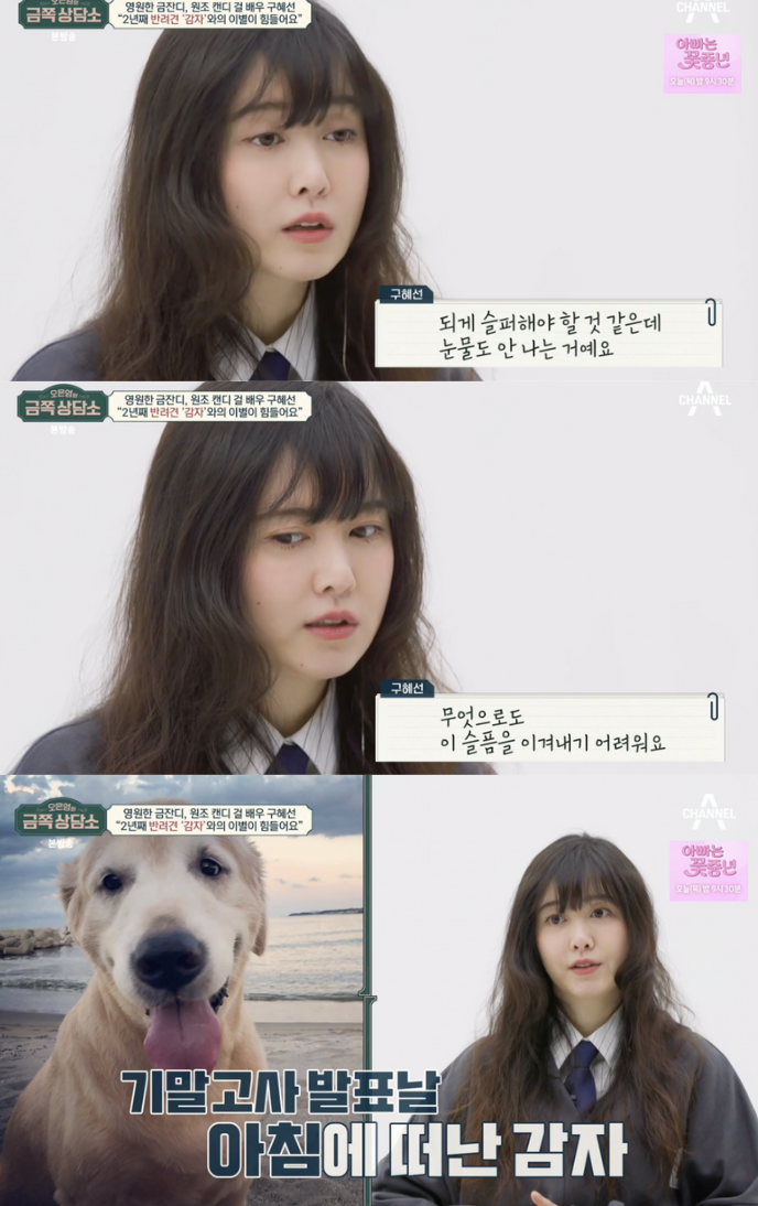 구혜선, 펫로스 증후군 고백 "현실 회피? 눈물도 안났다"('금쪽상담소')