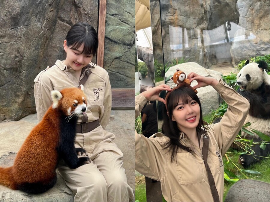 여자친구 예린, 홍콩 레서판다 사육사 됐다…'귀요미' 옆 '예쁜이'