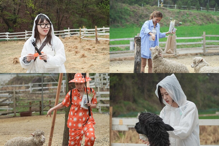 나영석 PD도 '깜짝'…이은지·이영지 언성 높인 사연은?('지락이의 뛰뛰빵빵')