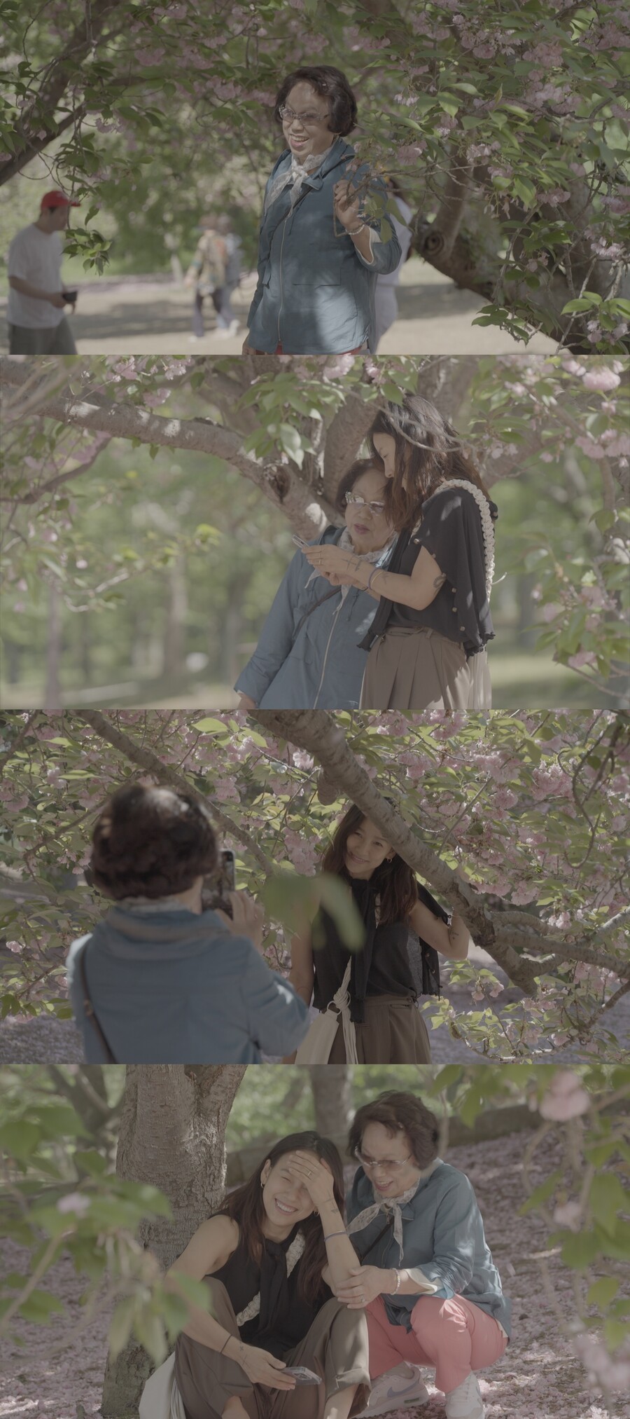 ▲ 제공|JTBC '엄마 단둘이 여행 갈래'