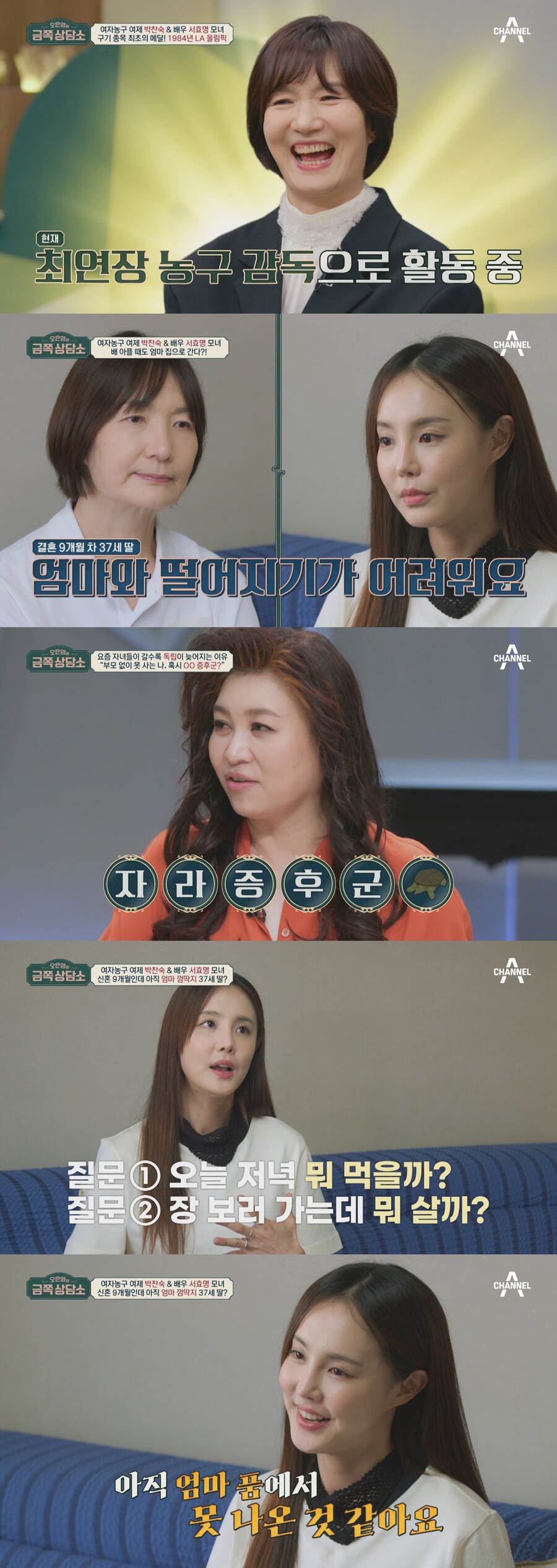 '농구전설' 박찬숙 "사업 실패와 부도에 극단적 생각까지"('금쪽')