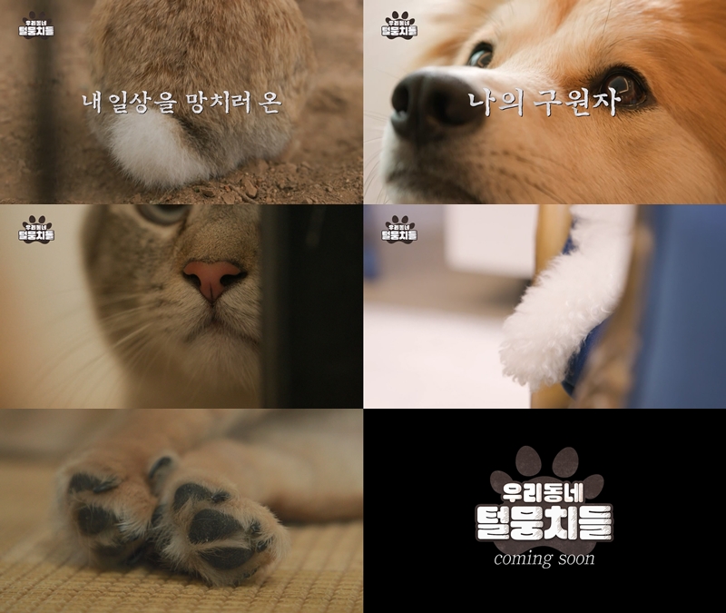 "내 일상을 망치러 온 나의 구원자" '우리동네 털뭉치들" 티저 공개