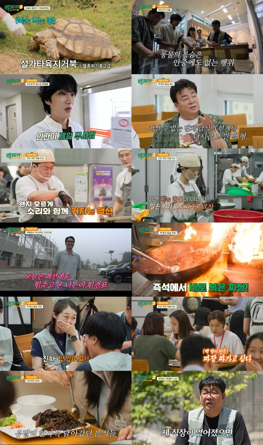 백종원·안보현, 멸종위기종 밀수입에 분노 "인간이 제일 무서워"('백패커2')