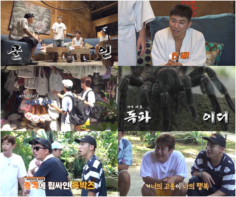 '독박투어2' 얼굴에 독거미 타란툴라 올리는 벌칙 '충격'