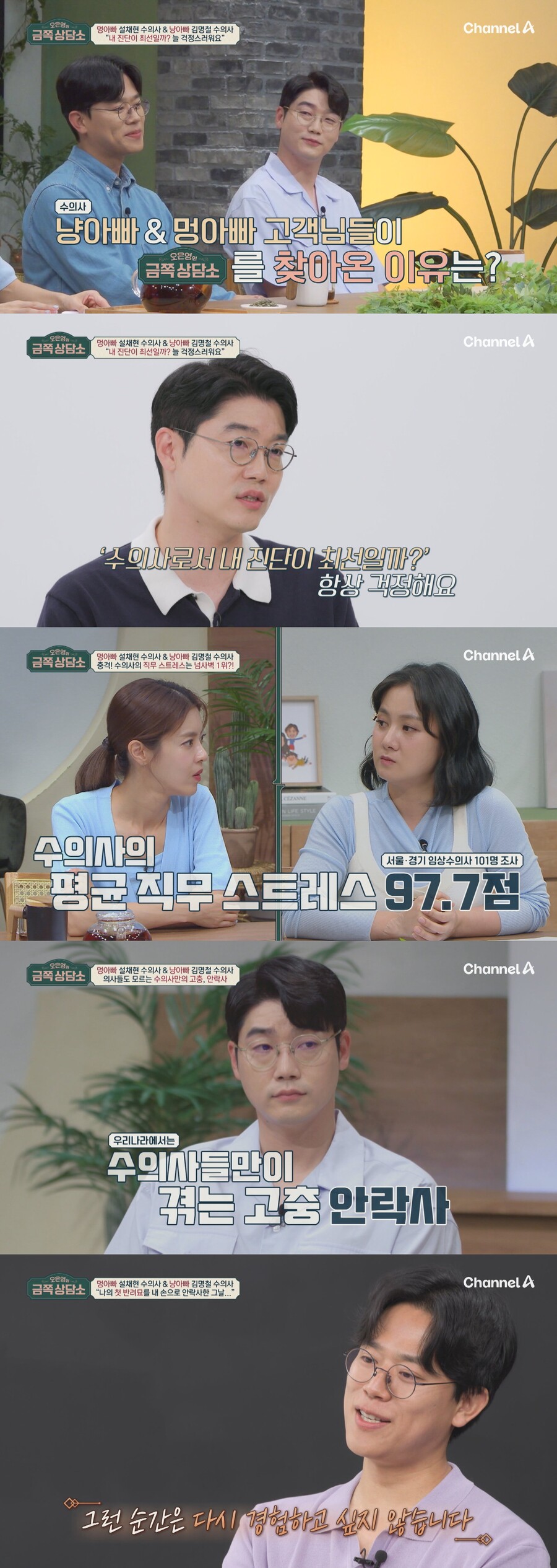 설채현·김명철 수의사 "고통스러운 의료 행위=안락사…무능력하다 느껴"('금쪽상담소')