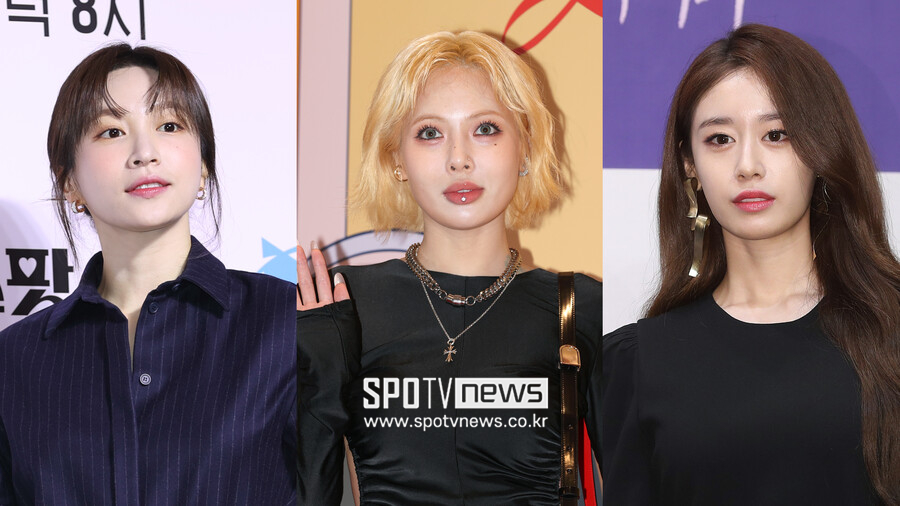 "남자 잘 만나길" ♥ 논란에 줄줄이 '연좌제 악플' 고충[이슈S]