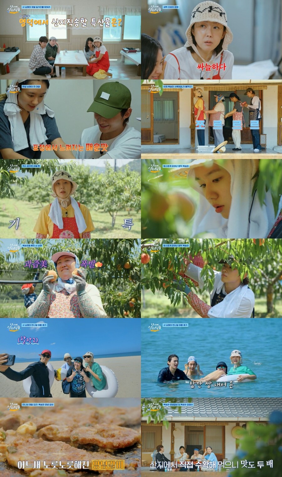 덱스 잡는 안은진, 팔뚝맞기 내기 완승 "언제 잘할래"('언니네산지직송')