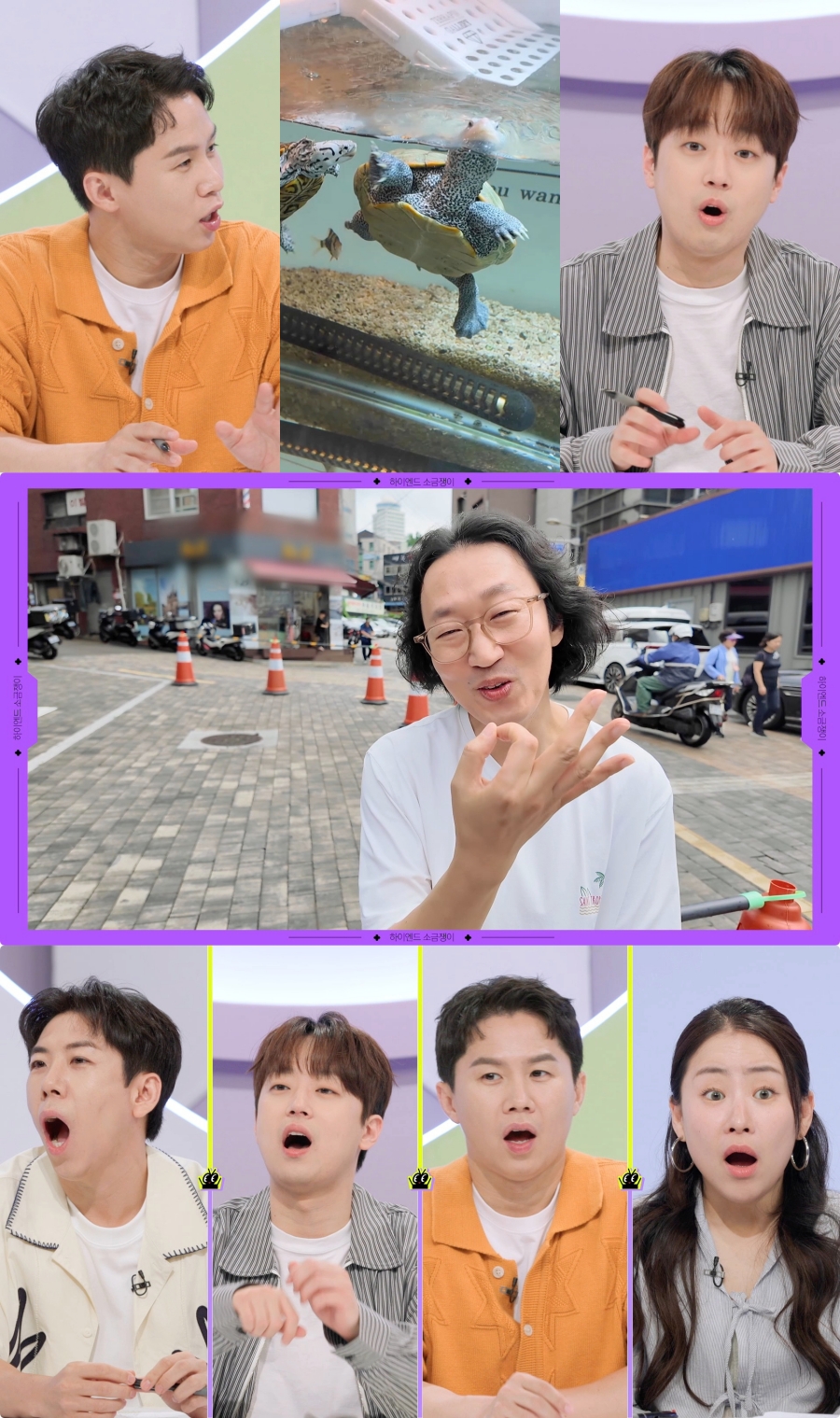 '집 4채 23억 자산가' 김경진, '150만원' 거북이 펫테크 "멸종 위기종"('소금쟁이')