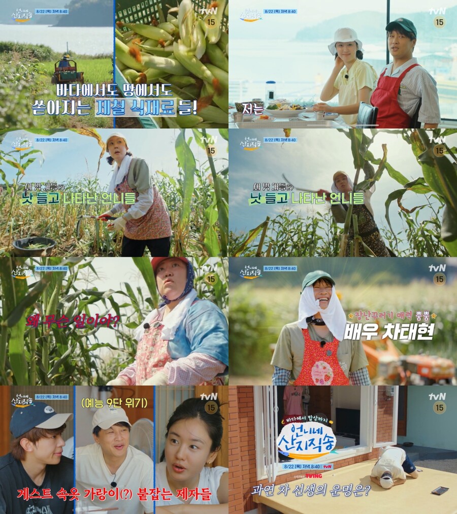 "살려줘" 염정아 '20년 찐친' 차태현, '산지직송' 세 번째 게스트 출격 