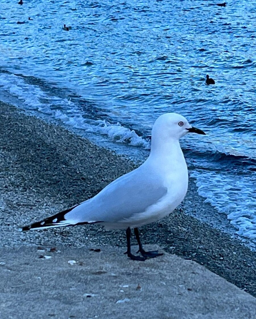 ▲ 변우석. 출처 ㅣ변우석 인스타그램