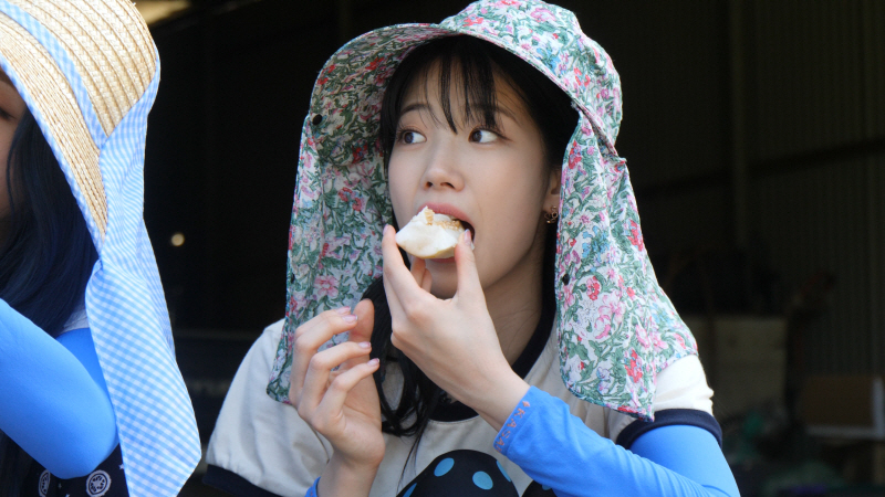 ▲ 르세라핌. 제공| KBS1 6시 내고향