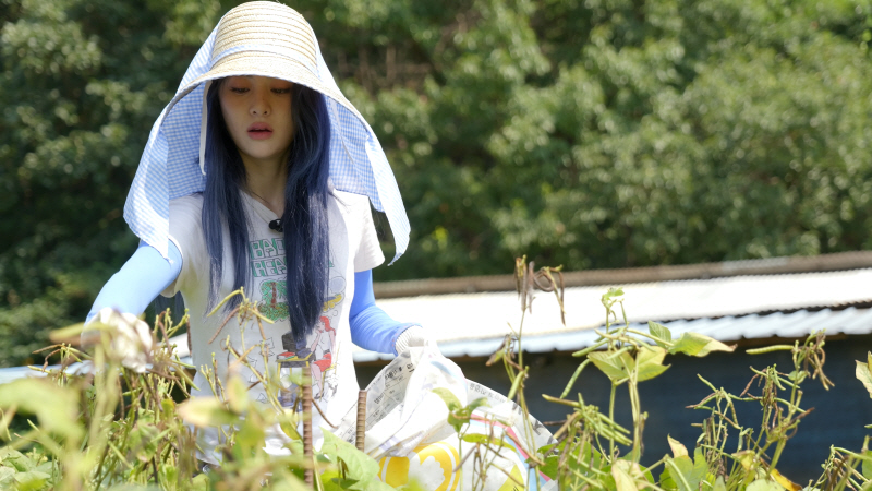▲ 르세라핌. 제공| KBS1 6시 내고향