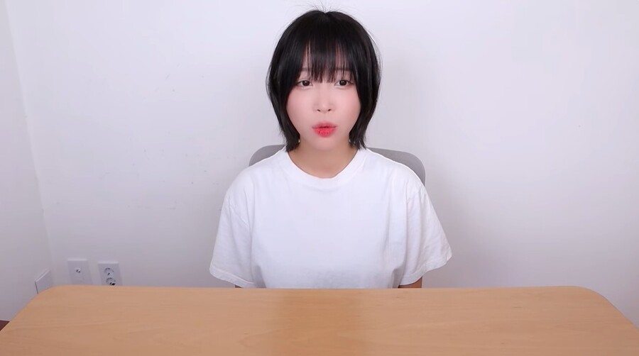 쯔양, '렉카 연합' 협박 사건 후…'모욕죄 혐의' 악플러 20명 고발