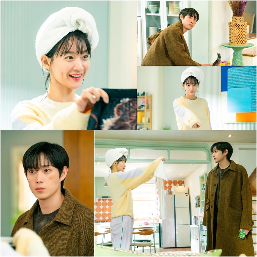 ▲ 제공|tvN '손해보기 싫어서'