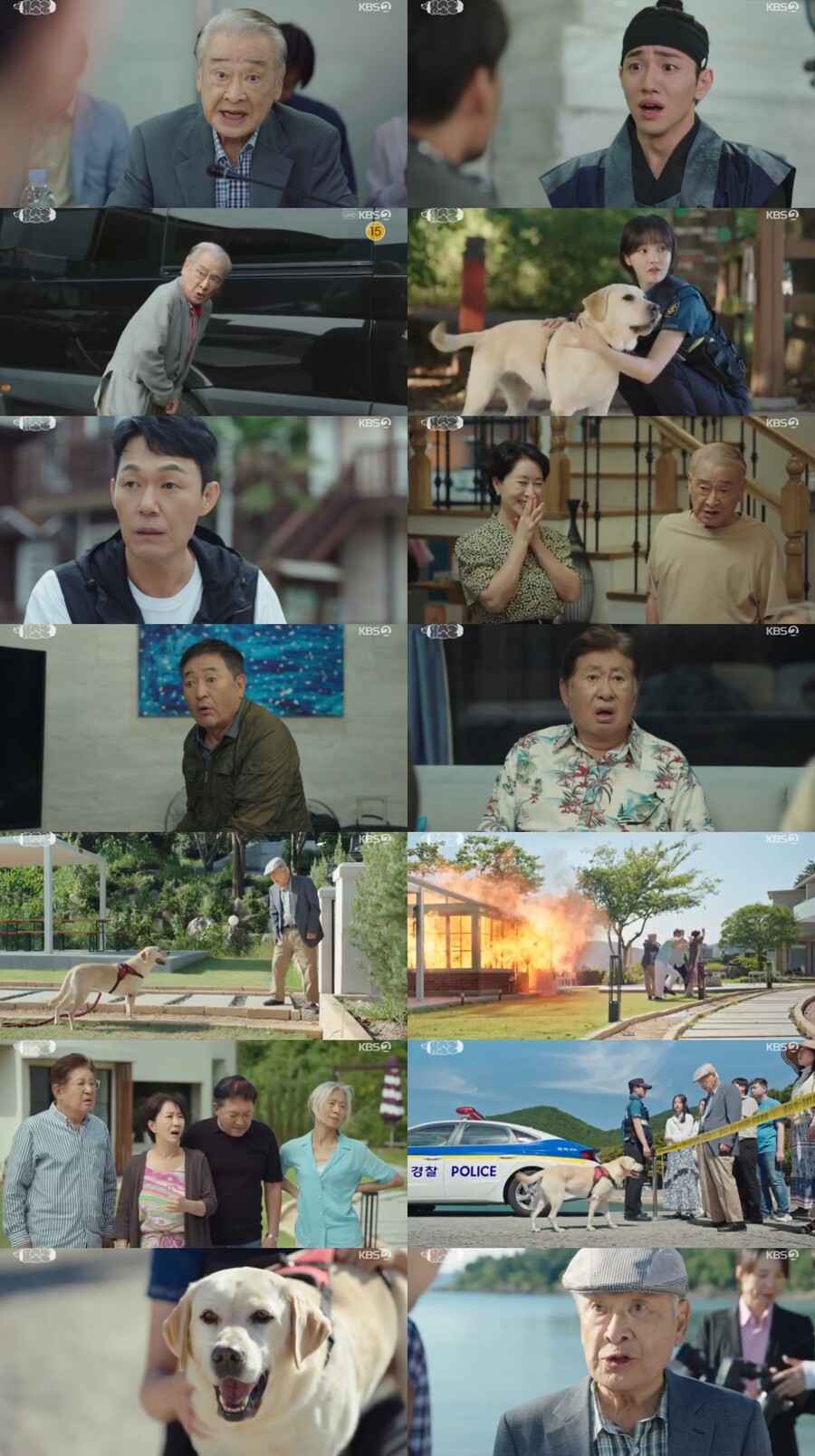 이순재, 갑질에 노상방뇨…'개소리', 첫방 시청률 4.2%로 시작