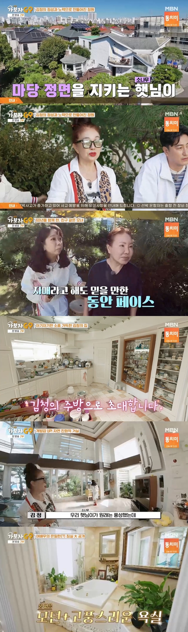 "썸 있을줄 알았는데"..김청, 궁궐같은 단독 주택→60년 함께한 母 공개('가보자GO3')