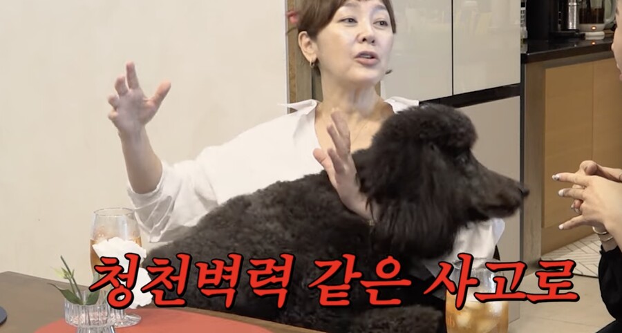 "죽으려고 했었다" 이승연, 다사다난 사건사고 언급하며 눈물('A급장영란')[종합]