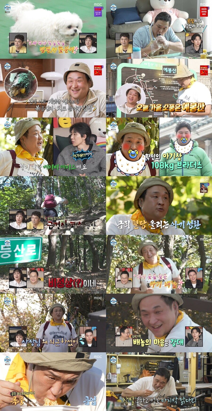 '나혼산' 구성환 혈당 올리자 최고시청률…파인애플 한 입의 행복[TV핫샷]