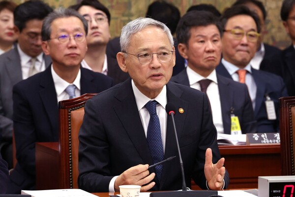 [체육계 현안진단③] "투표로 뽑혀도 승인 불가"…문체부의 대한체육회‧축구협회 '선거 개입' 논란
