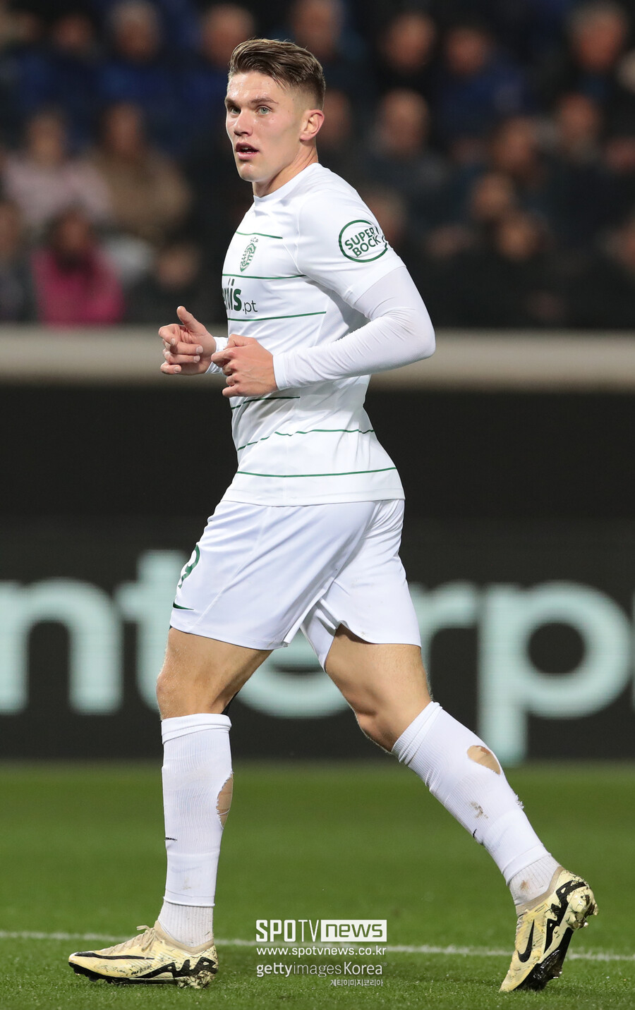 ▲ 스포르팅CP와 스웨덴 축구대표팀 공격을 책임지는 중앙 공격수(스트라이커) 빅토르 교케레스. 후벵 아모림 감독의 맨체스터 유나이티드행 이적에, 함께 팀을 옮길 가능성이 제기되고 있다.