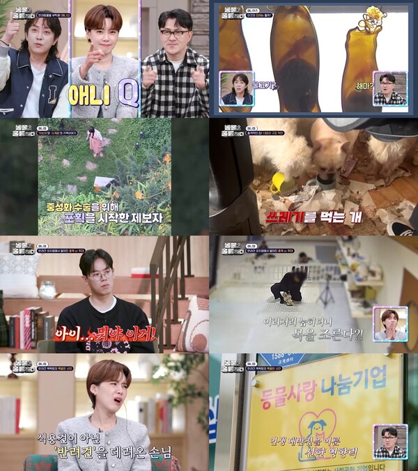 ''동물훌륭' 35년간 식용견 업자→반려견 목욕탕 사장으로…데프콘 "좋은 선례 될 것"[TV핫샷]