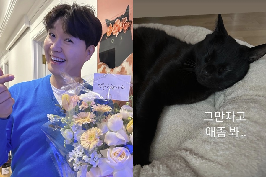 박수홍, 고양이 손도 아쉬운 극한 딸 육아 "다홍이, 그만 자고 애 좀 봐"