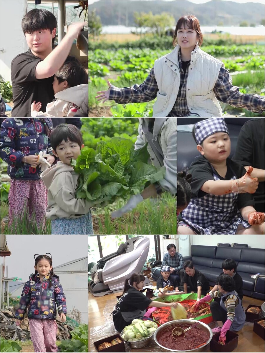 "가요 부르면 안 됐는데…母가 몰래" 정미애, '전국노래자랑' 그랜드슬램 비화('슈돌')
