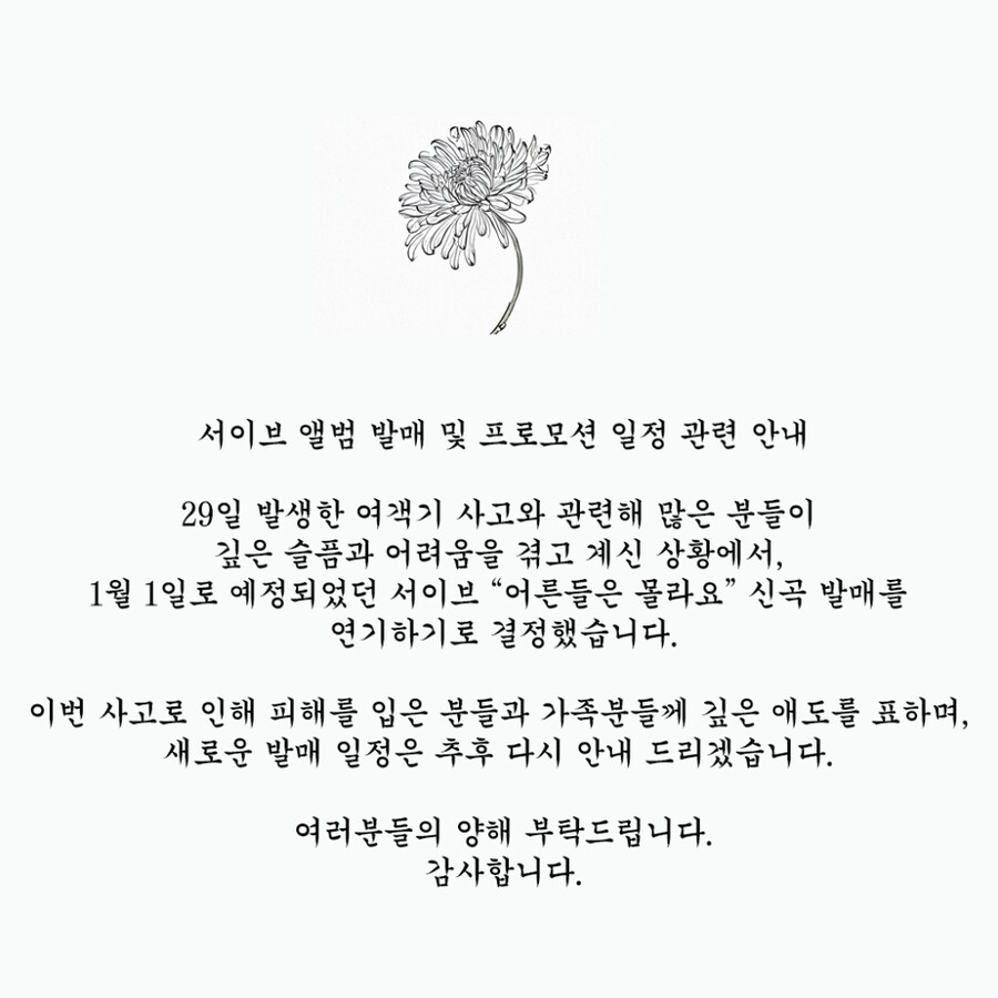 '마라탕후루' 서이브, 신곡 발매 연기 "여객기 사고에 깊은 애도"