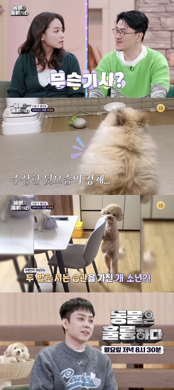 데프콘, 고지안 훈련사와 핑크빛 기류 재점화 "테리우스 더 닮아"(동물훌륭)
