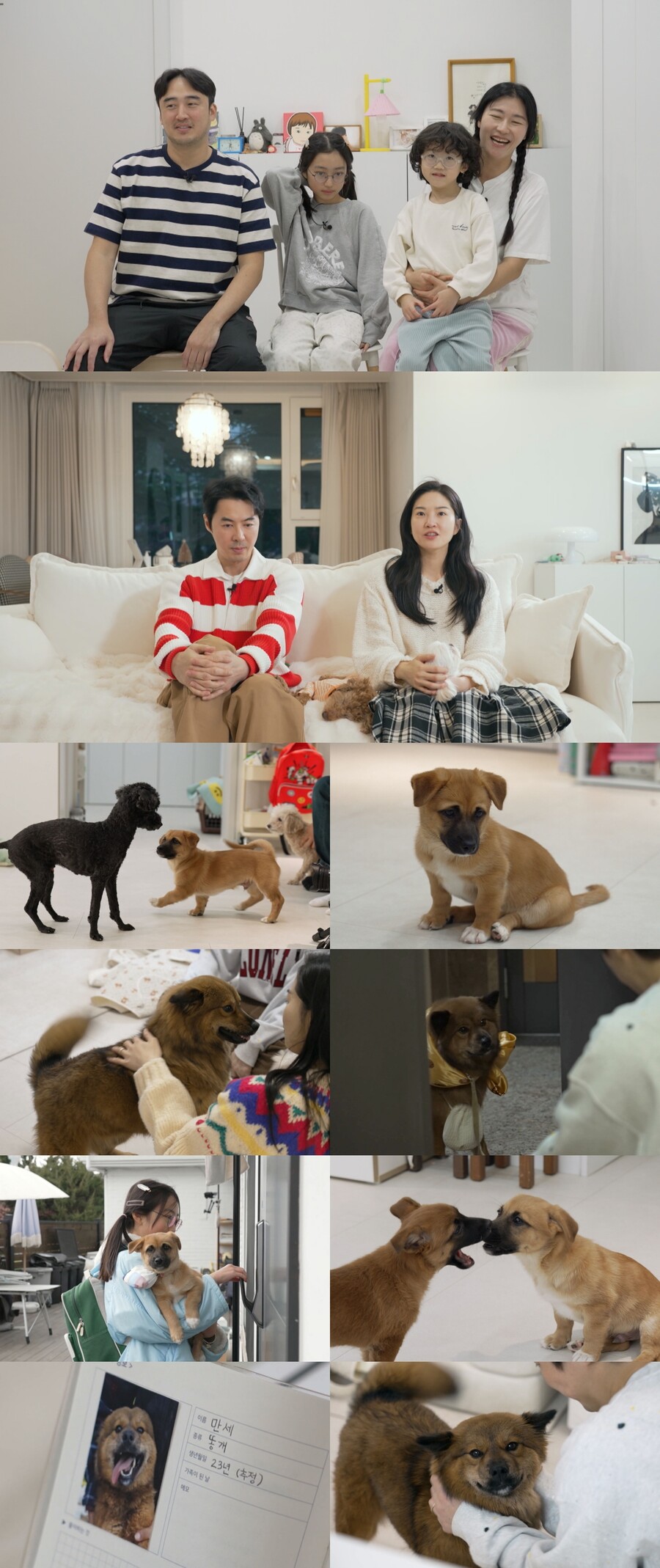 전진♥류이서, 새 가족 생겼다…긴장 가득 '첫 만남'('동물농장')