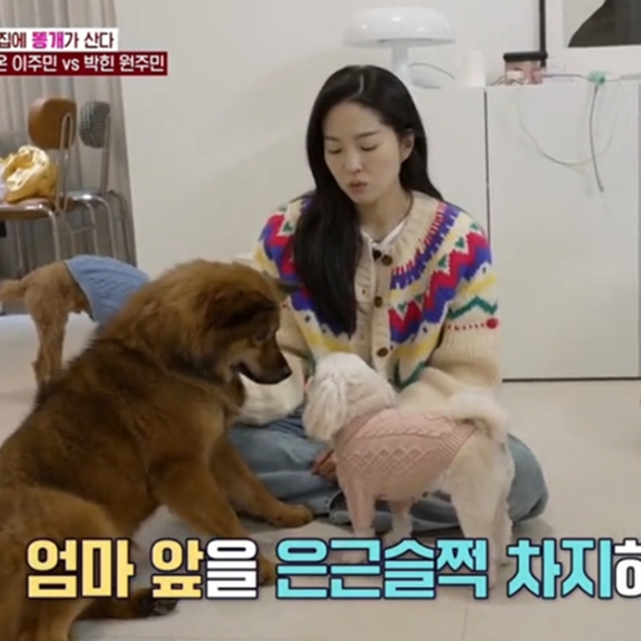 전진♥류이서, 새 가족 생겼다…안방 침대에 큰 실수까지 '깜찍'('동물농장')