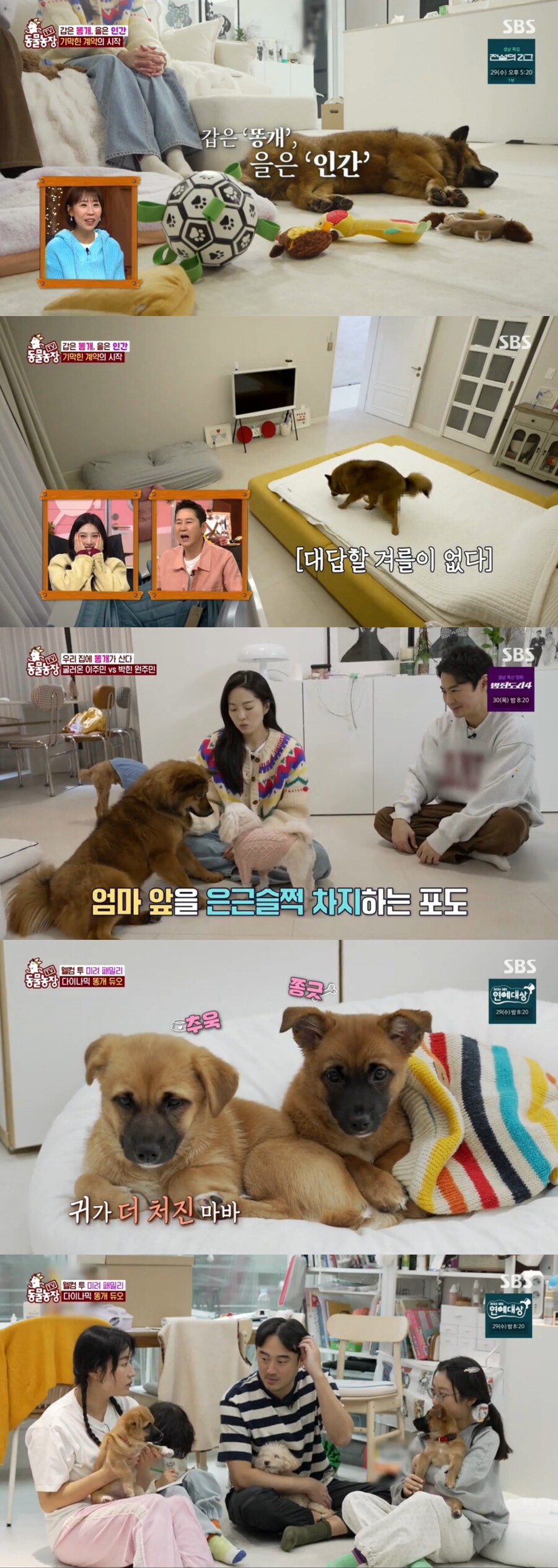 ▲ 동물농장. 제공ㅣSBS