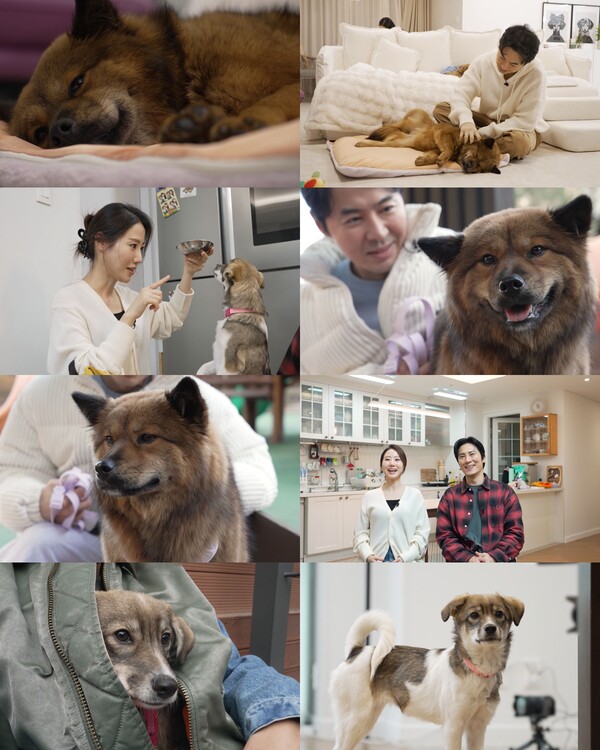 '팔로어 190만' 김재우♥조유리, 똥개 모신다(동물농장)
