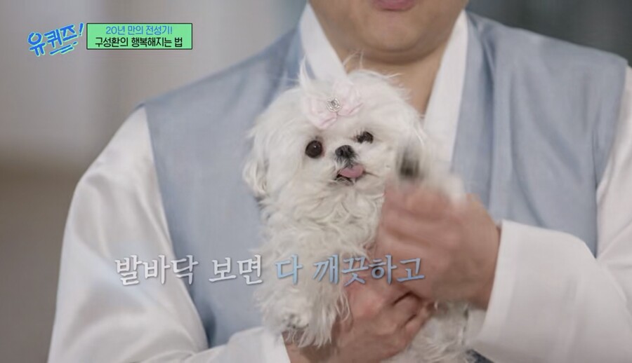 ▲ 꽃분이. 제공| tvN '유퀴즈'