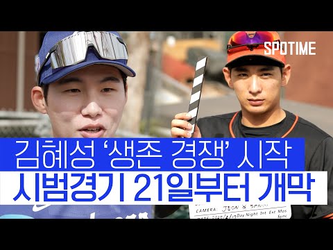 김혜성·이정후, '생존 경쟁' 스타트… MLB 시범경기 21일 개막 #SPOTIME