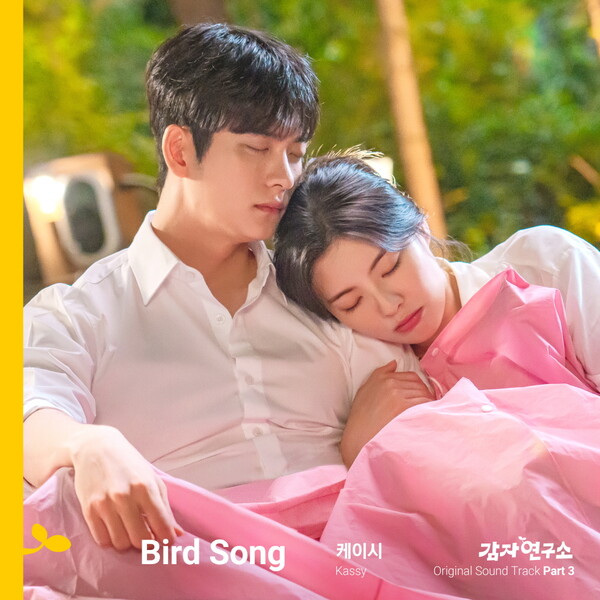케이시, 이선빈♥강태오 '감자연구소' OST 참여…설렘 가득 '버드 송' 9일 공개